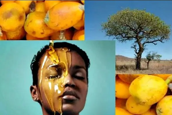 beauty secret from South Africa