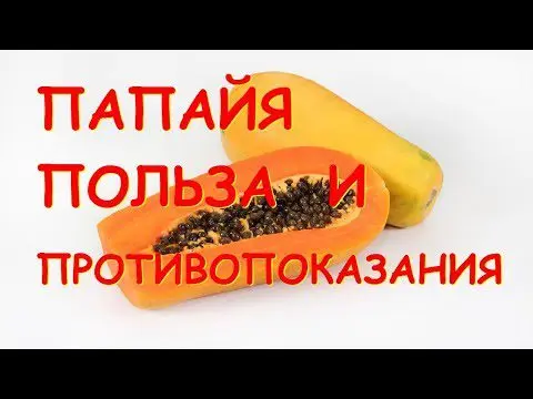 Benefits of papaya: the use of fruits and oils