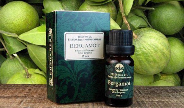 Bergamot: benefits and harms to the body, tea and oil