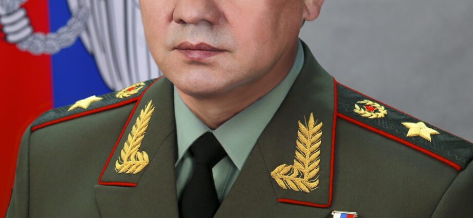 Biography of Sergei Shoigu: the history of the Minister of Defense