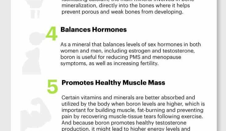 Boron in the Human Body: Symptoms of Deficiency and Excess