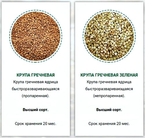 Buckwheat: health benefits and harms, composition and calorie content