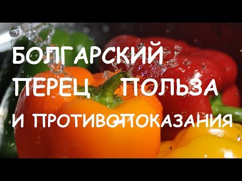 Bulgarian pepper: benefits and harms for the body, facts