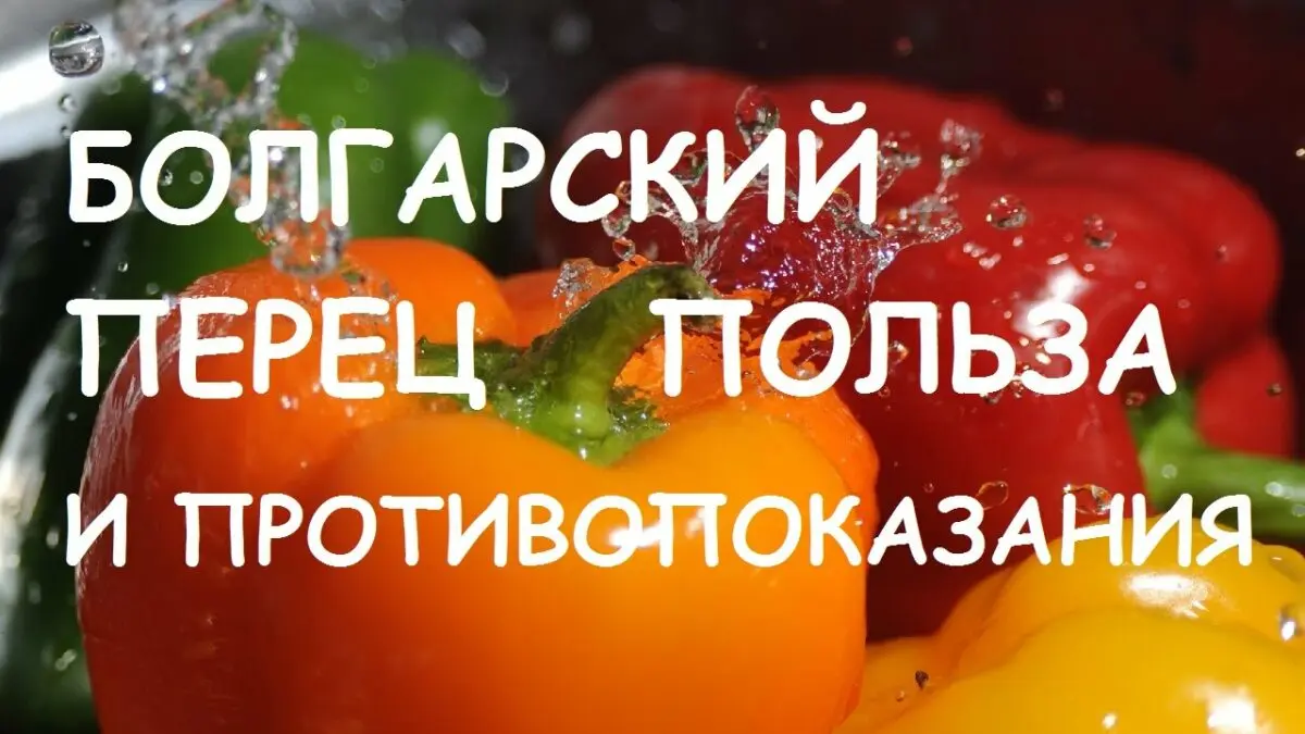 Bulgarian pepper: benefits and harms for the body, facts