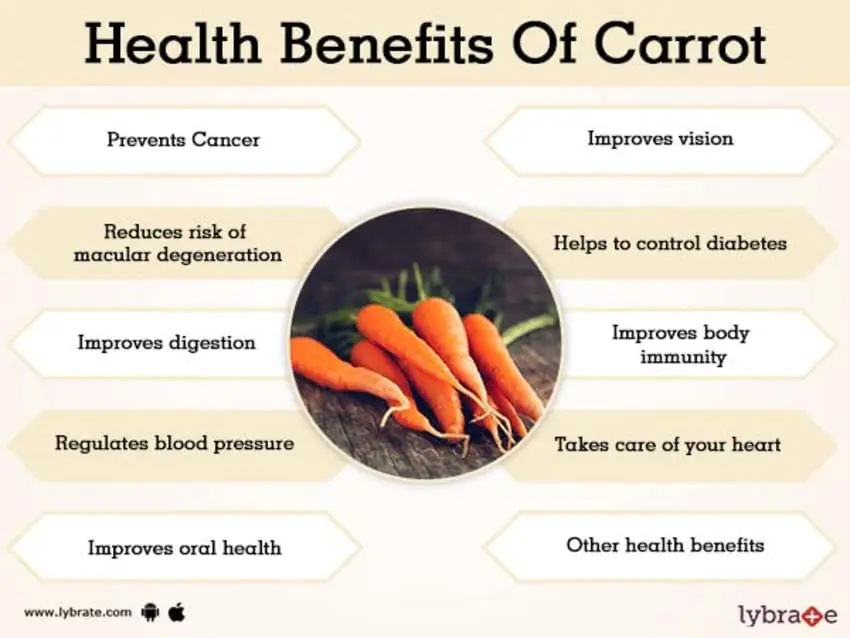 Carrots: health benefits and harms, how to choose and store