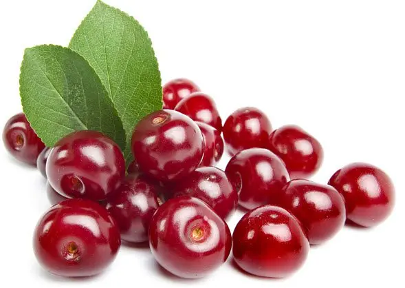 Cherries: health benefits and harms, facts and videos