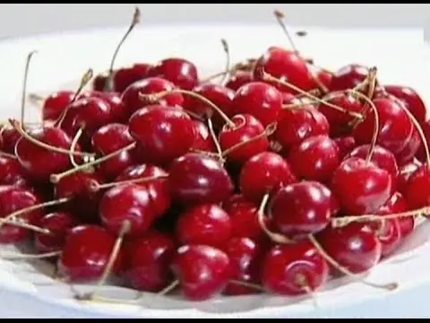 Cherries: health benefits and harms, facts and videos