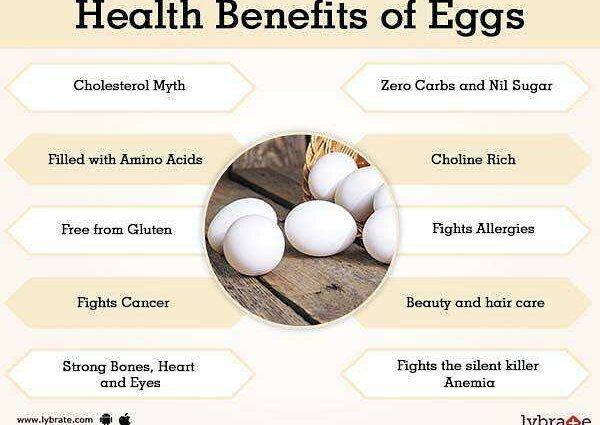 Chicken eggs: benefits and harms to the body. Tips &#038; Videos