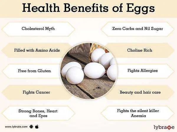 Chicken eggs: benefits and harms to the body. Tips &#038; Videos