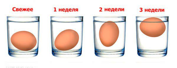 Chicken eggs: benefits and harms to the body. Tips &#038; Videos