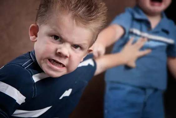 Childhood Aggression: Its Causes and What Adults Should Do