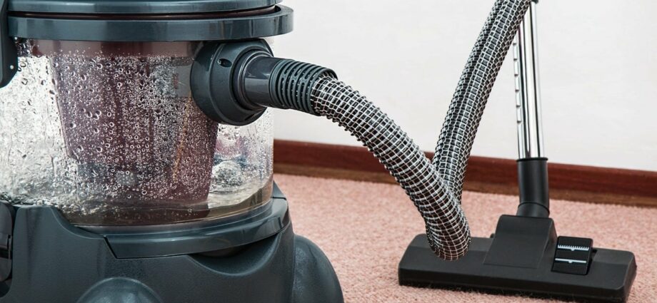 Choosing a vacuum cleaner for your home Overview of types of vacuum cleaners for your home