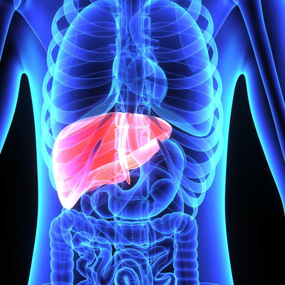 Cleansing the liver: 9 natural solutions to purify it