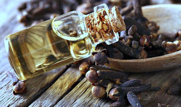 Clove spice: medicinal properties and contraindications, tips