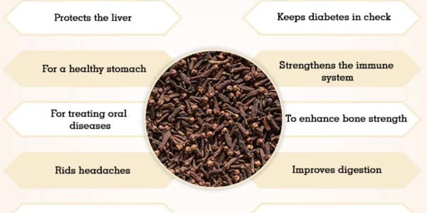 Clove spice: medicinal properties and contraindications, tips