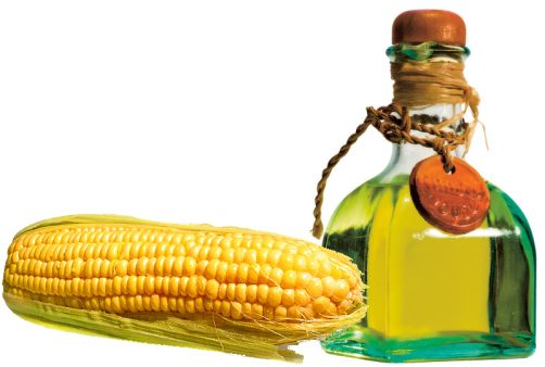 Corn: beneficial properties and uses in medicine