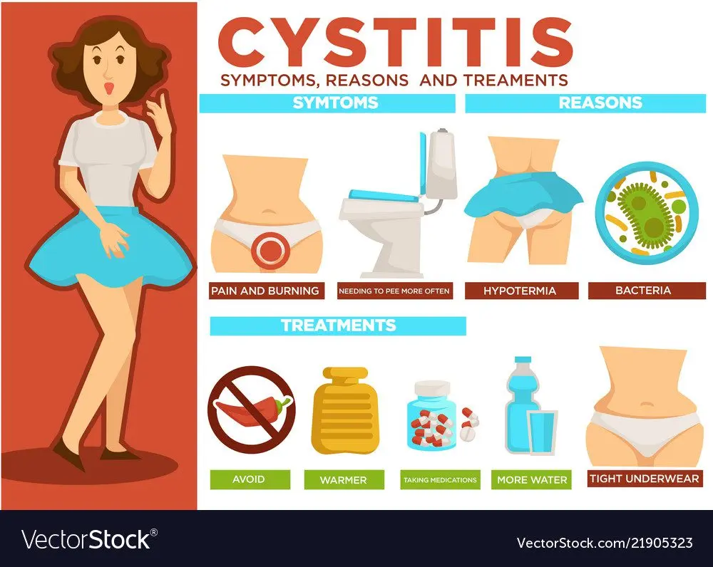 Cystitis: symptoms and treatment of the disease, video