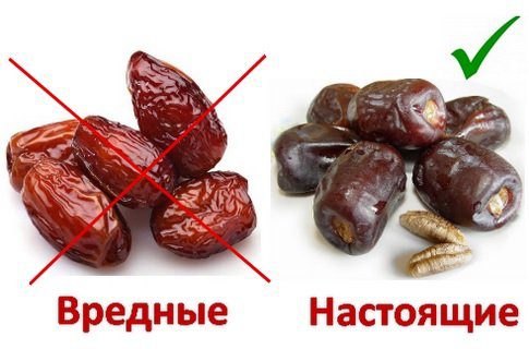 Dates: benefits and harms to human health, facts