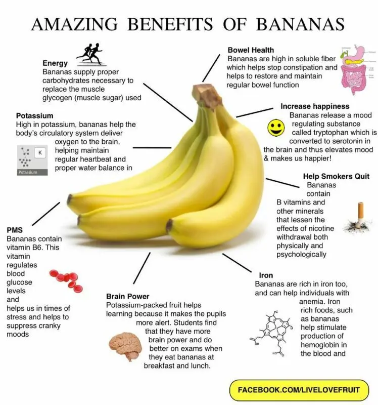 Eat bananas: the incredible health benefits of bananas