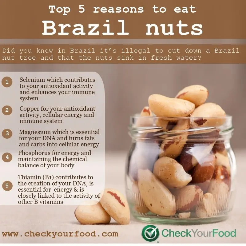 Eat Brazil nuts: the 9 surprising health benefits