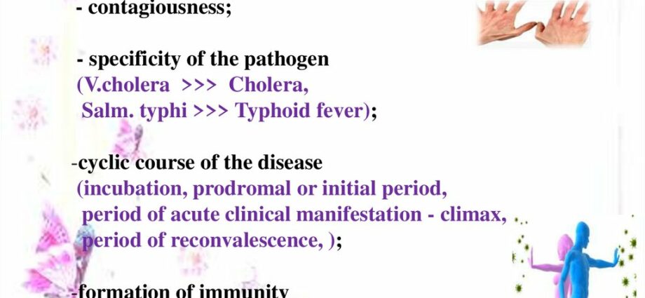 Features of infectious diseases: what you need to know