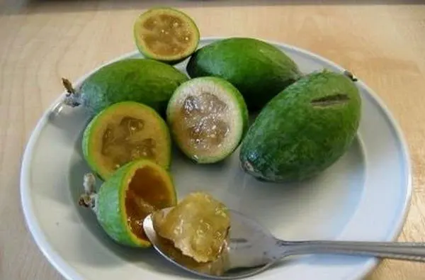 Feijoa: benefits and harms for the body, facts, video