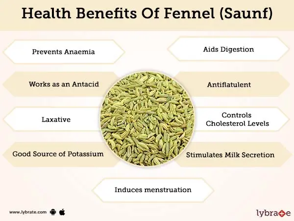 Fennel: health benefits and harms, tips and videos