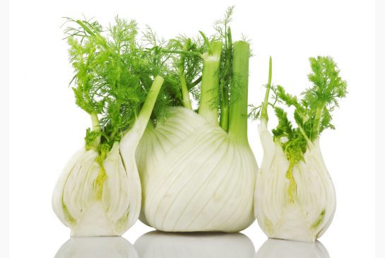 Fennel: health benefits and harms, tips and videos