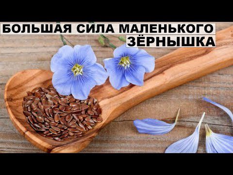 Flax seeds: medicinal properties and uses