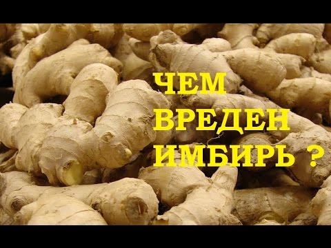 Ginger root: benefits and harms, facts, tips, video