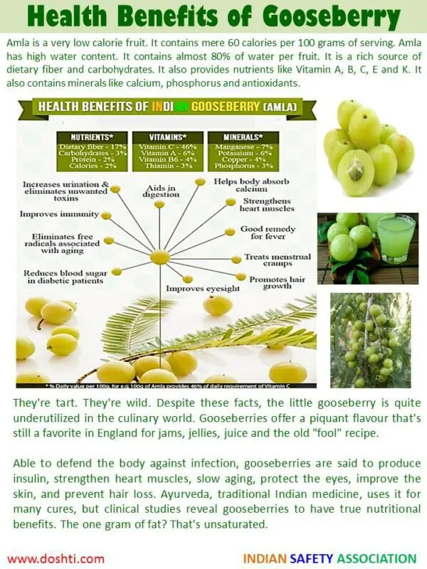 Gooseberry: health benefits and harms