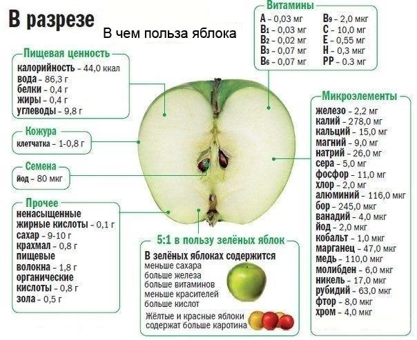 health benefits and harms, everyone should know this