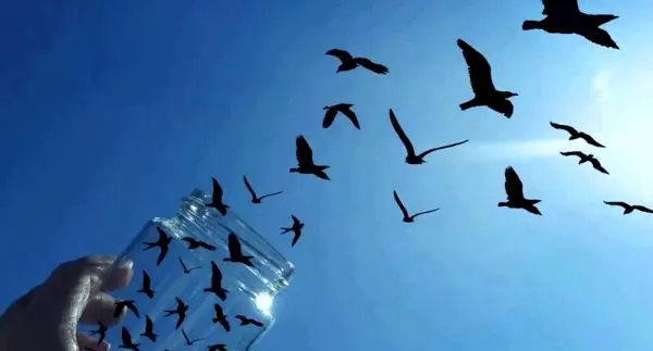 How to change attitudes towards a situation that cannot be changed