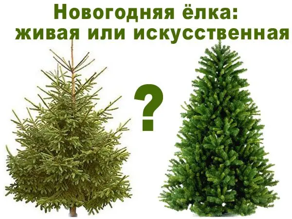 How to choose an artificial Christmas tree: useful tips