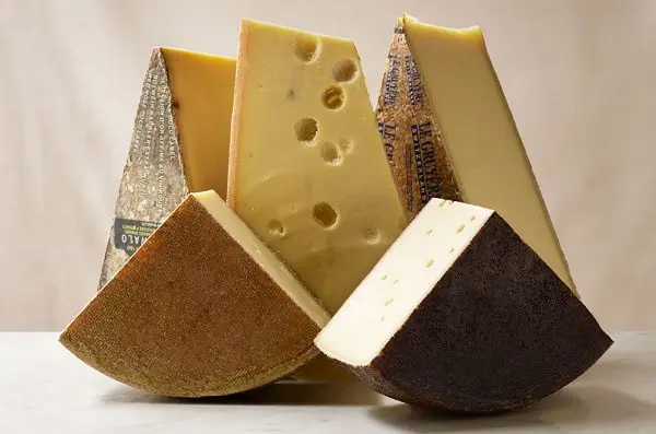 How to choose quality cheese: tips and videos