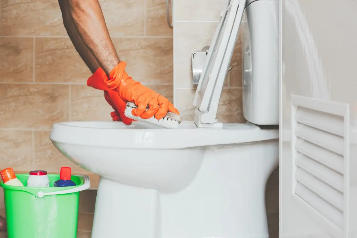 How to clean the toilet: 9 effective ways