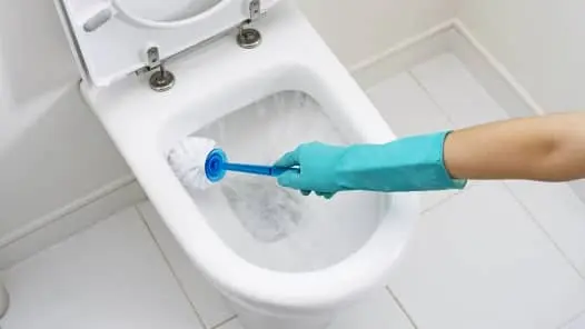 How to clean the toilet: 9 effective ways