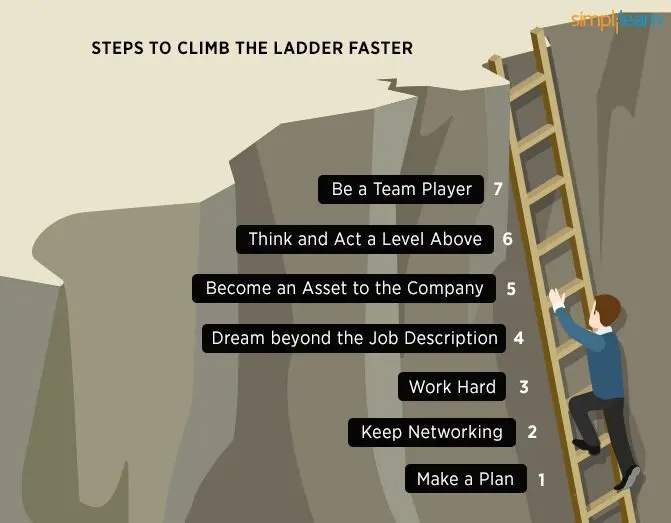 How to climb the career ladder: two paths to choose from