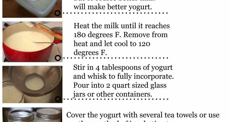 How to make yogurt at home: step by step recipe and tips