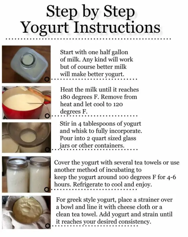 How to make yogurt at home: step by step recipe and tips