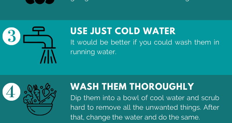 How to properly wash fruits and vegetables, general rules