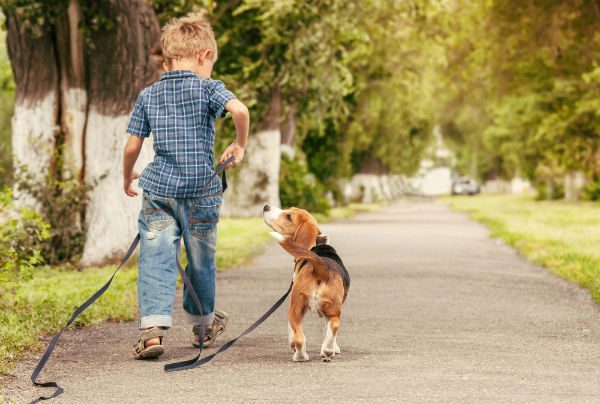 How to raise a boy correctly: advice from a psychologist