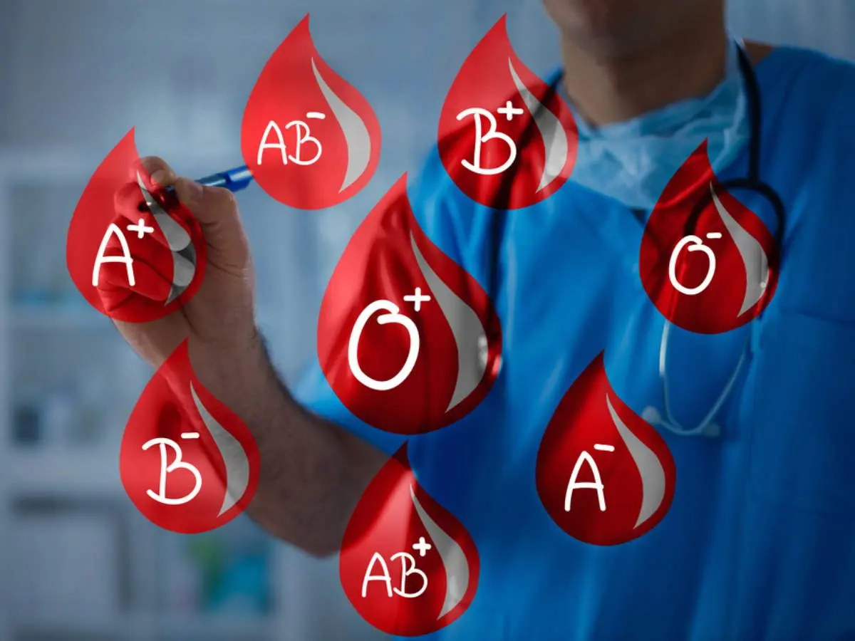 Human character by blood type: why we are different