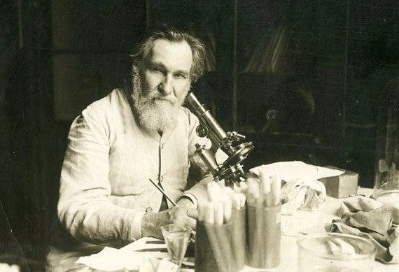 Ilya Ilyich Mechnikov: biography, discoveries, facts