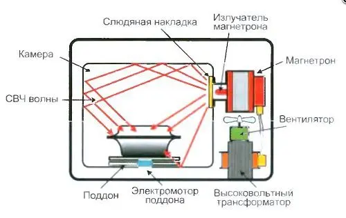 Is the microwave dangerous for health: what you need to know