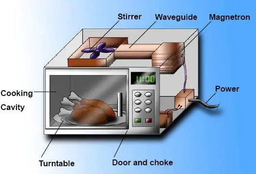 Is the microwave dangerous for health: what you need to know