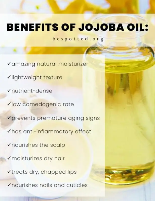 Jojoba oil: application for hair, recipes for masks