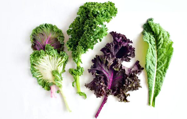 Kale cabbage: what it is, useful properties and how it is eaten