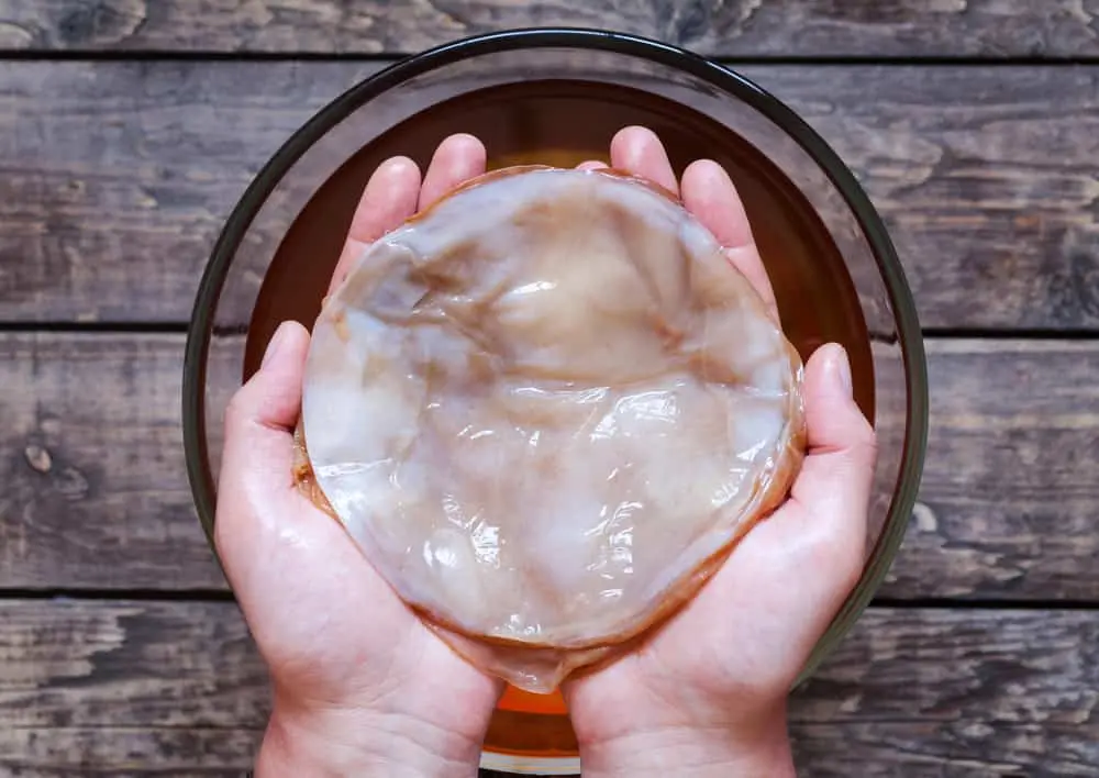 Kombucha: 7 good reasons to drink it (very often) &#8211; Happiness and health