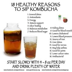 Kombucha: 7 head põhjust, miks seda juua (väga sageli) – õnn ja tervis